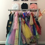 Dress Up Organization Hack