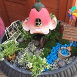 Fairy Garden