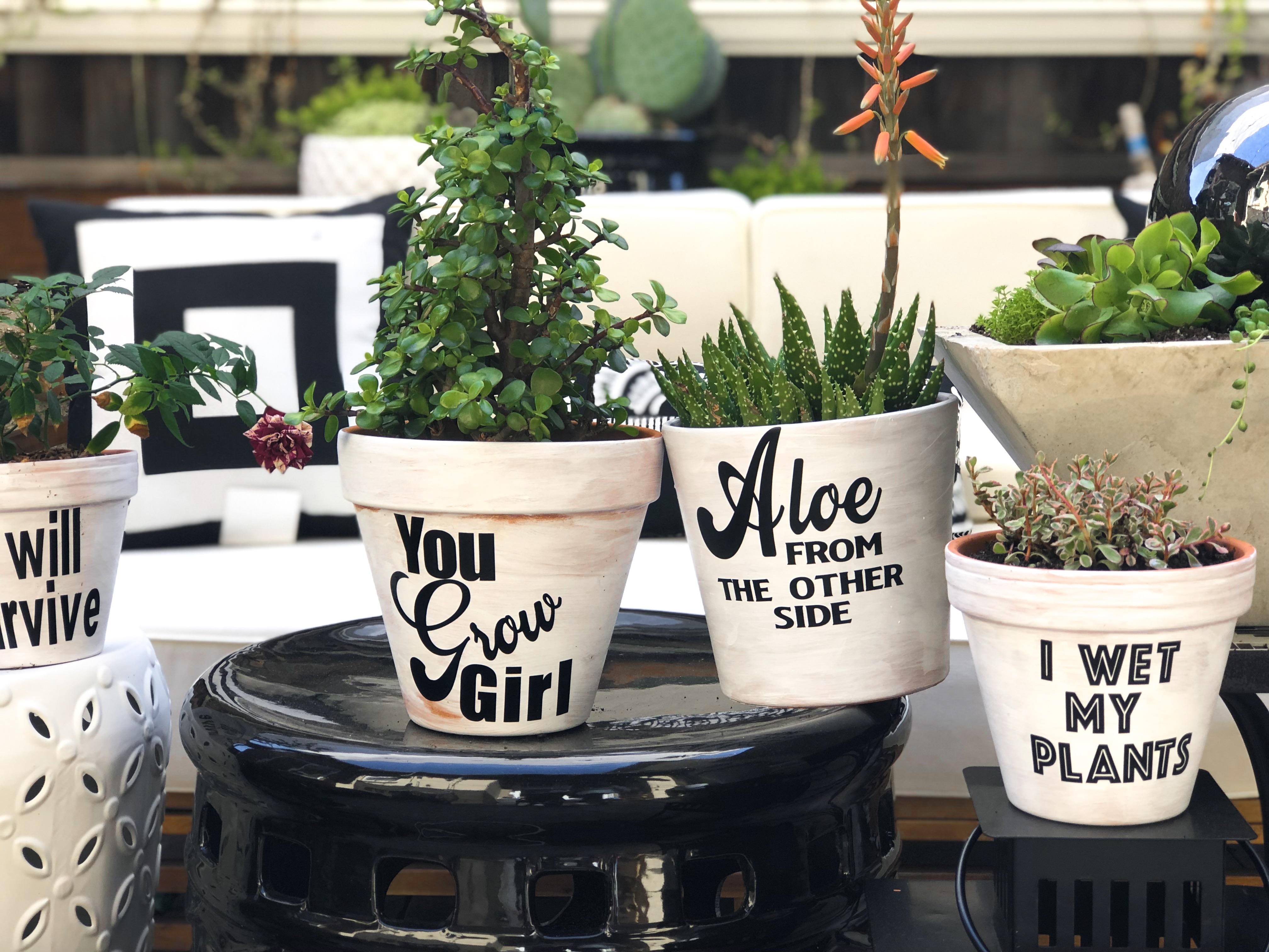 DIY Punny Planters - Treehouse Threads